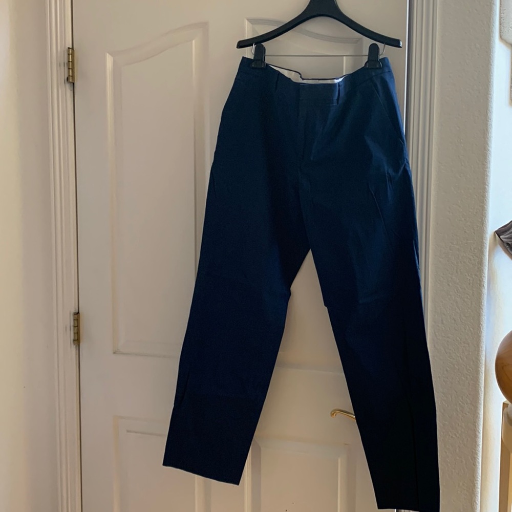 Men’s Express Navy Blue Pants